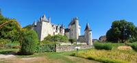 Vignette 23++Chateau_du_Rivau.jpeg 