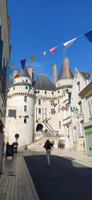 Diapositive Langeais_105114.jpg 