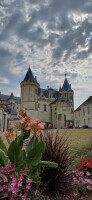 Vignette 05++Saumur.jpeg 