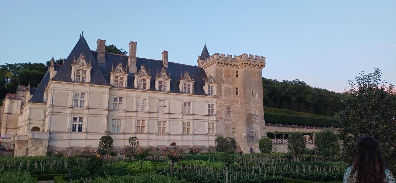 Diapositive 14++Villandry.jpeg 