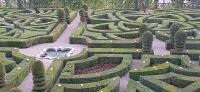 Vignette 13++Villandry.jpeg 