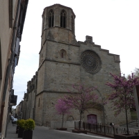 Vignette 203++Carcassonne.jpeg 