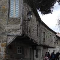 Vignette 218++Carcassonne.jpeg 