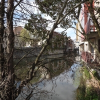 Vignette 301++Castres.jpeg 