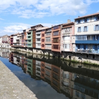 Vignette 305++Castres.jpeg 