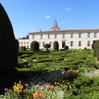 Vignette 310++Castres.jpeg 