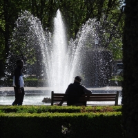 Vignette 311++Castres.jpeg 