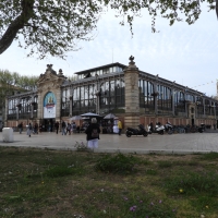 Vignette 401++Narbonne.jpeg 