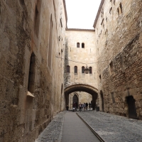 Vignette 408++Narbonne.jpeg 