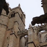 Vignette 411++Narbonne.jpeg 