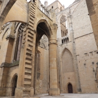 Vignette 413++Narbonne.jpeg 