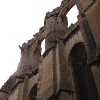 Vignette 414++Narbonne.jpeg 