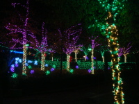 Vignette 29++Fête des Lumières 2013.jpeg 