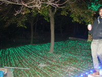 Vignette 32++Fête des Lumières 2013.jpeg 