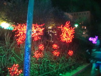 Vignette 34++Fête des Lumières 2013.jpeg 