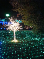 Vignette 35++Fête des Lumières 2013.jpeg 