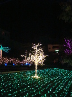 Vignette 37++Fête des Lumières 2013.jpeg 