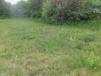 Vignette 23++Orchidees.jpeg 