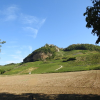 Ouvrir la sous-galerie Nevy-sur-Seille 