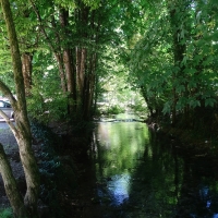 Ouvrir la sous-galerie La reculée des Planches 
