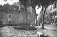 Vignette 91++Dole.jpeg 