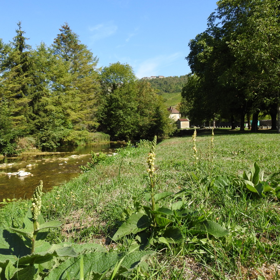 Diapositive 08++Nevy-sur-Seille.jpeg 