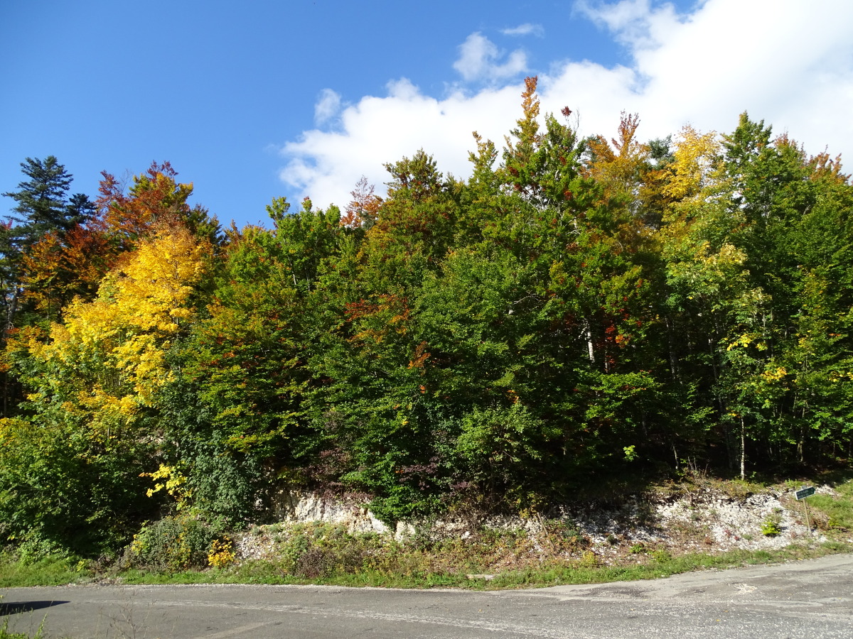 Diapositive 17++Les 4 lacs.jpeg 