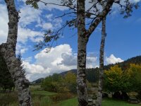 Vignette 41++Lac de Lamoura.jpeg 