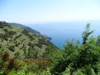 Vignette 10++Cinque_Terre.jpeg 