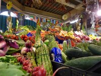 Vignette 03++Florence.jpeg 