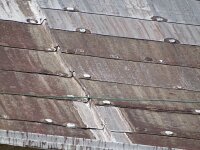 Vignette 12++Pistoia.jpeg 