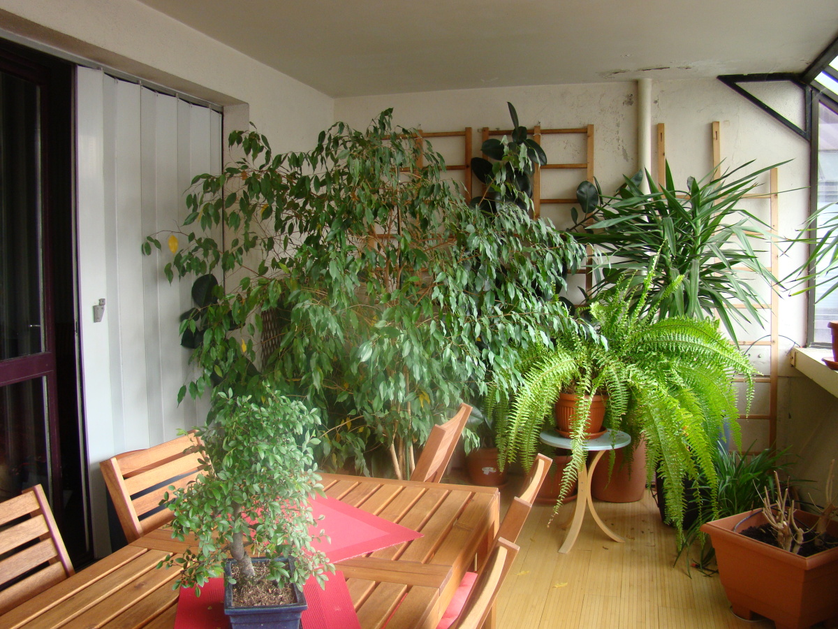 Diapositive 026++Rue Méliès.jpeg 