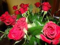 Vignette 007++Rue Méliès.jpeg 