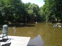 Vignette 01++Tornade.jpeg 