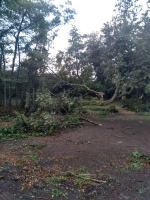 Vignette 02++Tornade.jpeg 