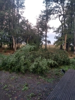 Vignette 03++Tornade.jpeg 