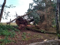 Vignette 08++Tornade.jpeg 