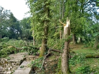 Vignette 09++Tornade.jpeg 