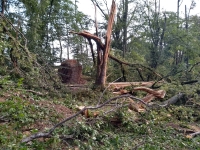 Vignette 11++Tornade.jpeg 