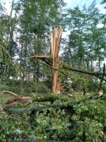 Vignette 13++Tornade.jpeg 