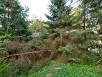 Vignette 14++Tornade.jpeg 