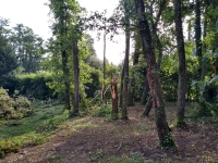 Vignette 15++Tornade.jpeg 