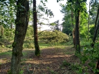 Vignette 18++Tornade.jpeg 