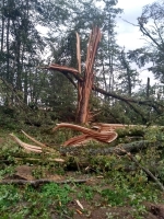 Vignette 19++Tornade.jpeg 