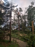 Vignette 22++Tornade.jpeg 