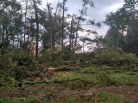 Vignette 23++Tornade.jpeg 