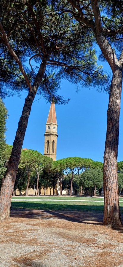 Diapositive 15++Arezzio.jpeg 