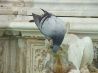 Vignette 30++Soif.jpeg 