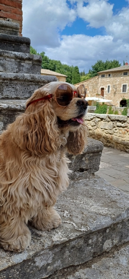 Diapositive 17++Bagno Vignoni.jpeg 