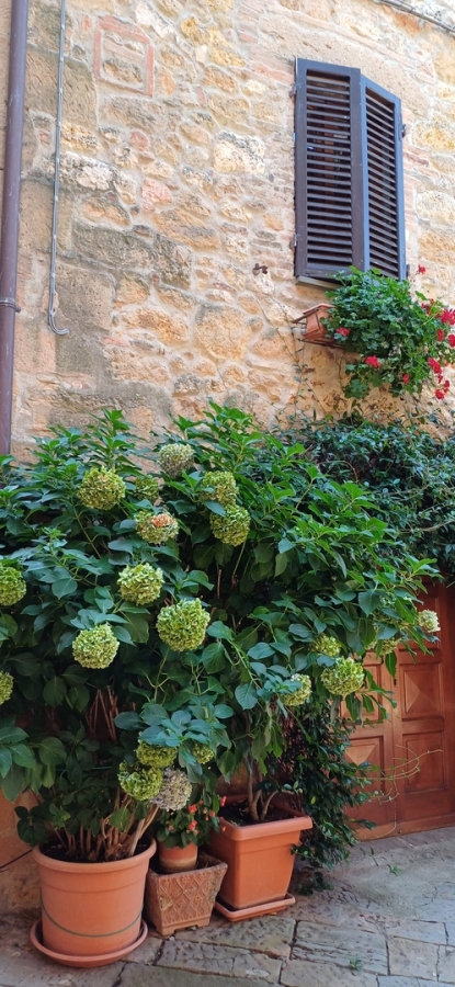 Diapositive 42++Pienza.jpeg 